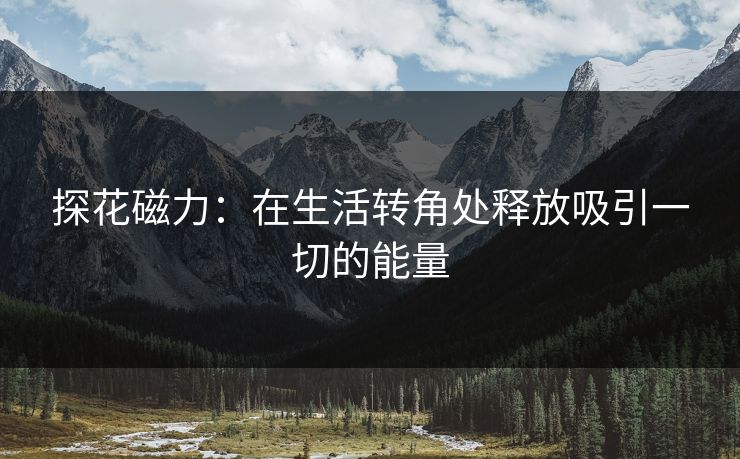 探花磁力：在生活转角处释放吸引一切的能量