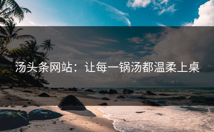 汤头条网站：让每一锅汤都温柔上桌