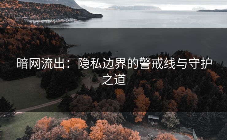 暗网流出：隐私边界的警戒线与守护之道